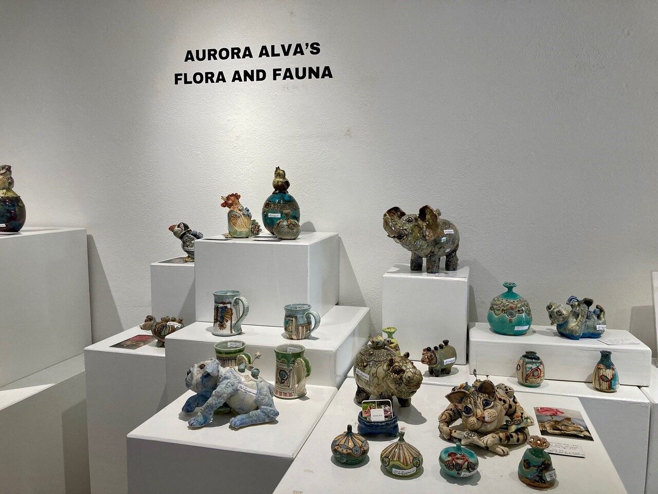 Aurora Alva’s 5